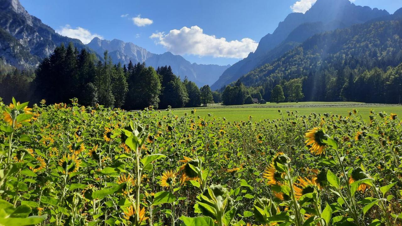 House Godec - Ratece Planica Apartment Kranjska Gora Luaran gambar